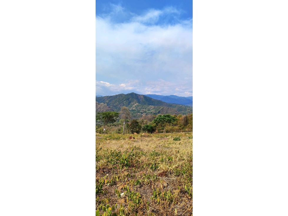 Espectaculares lotes en La Mesa Cund desde 1500 M2 en 190 mill, planos - 1