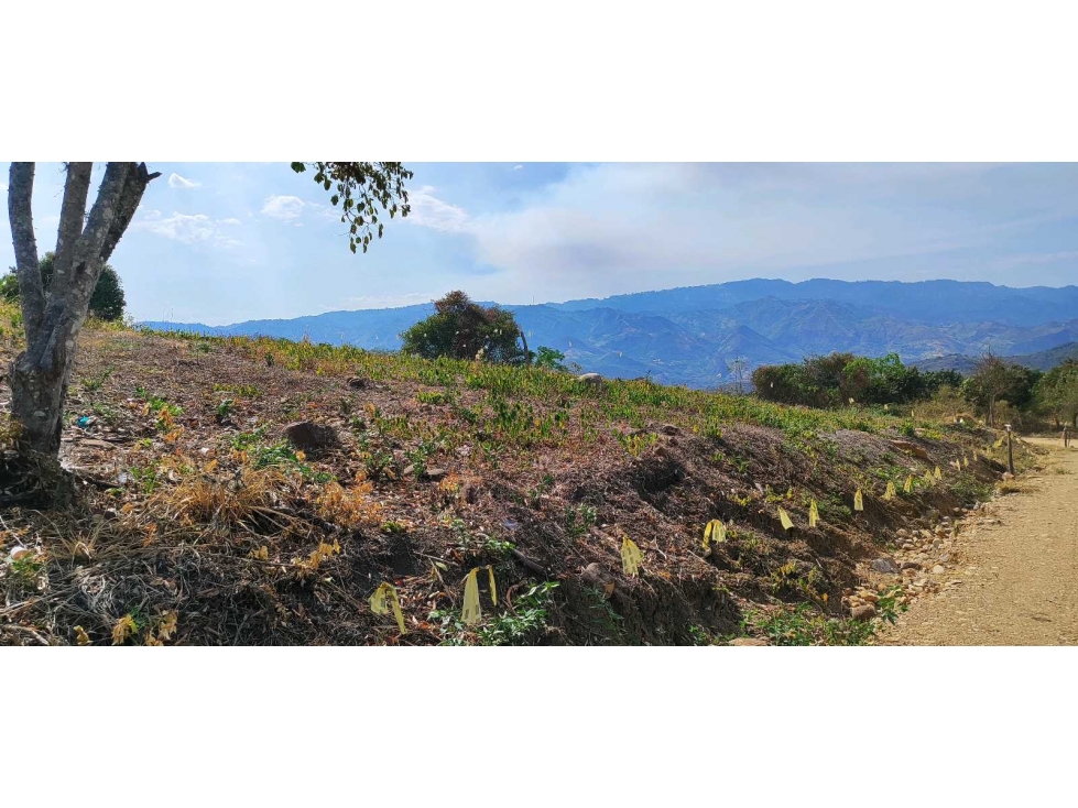 Espectaculares lotes en La Mesa Cund desde 1500 M2 en 190 mill, planos - 5