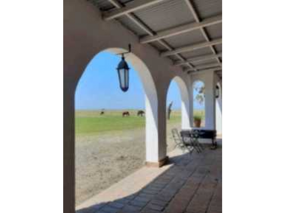 ESTANCIA EL CABILDO, BAHIA SAN BLAS,PCIA.DE BUENOS AIRES, ARGENTINA - 6