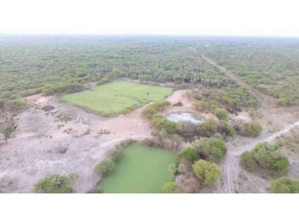 ESTANCIA EN VENTA. CHACO , Km 255. Z/ PIRAHU - 3