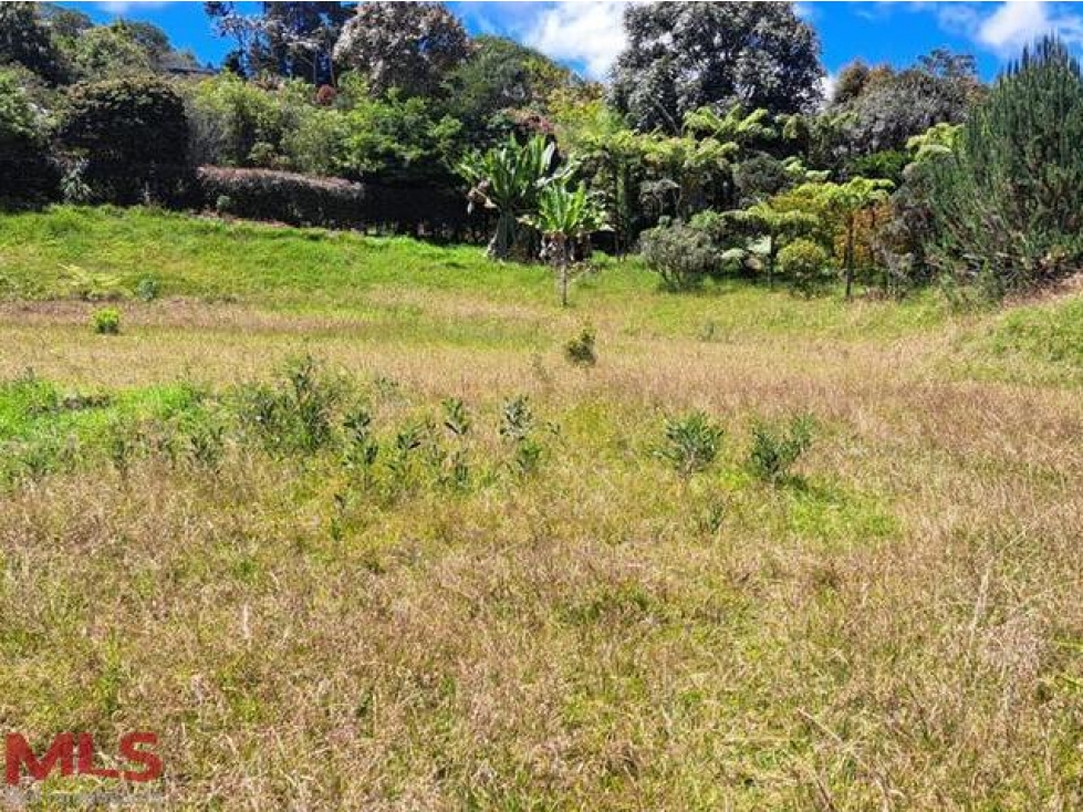Excelente lote en urbanización cerrada(MLS#241382) — foto 5