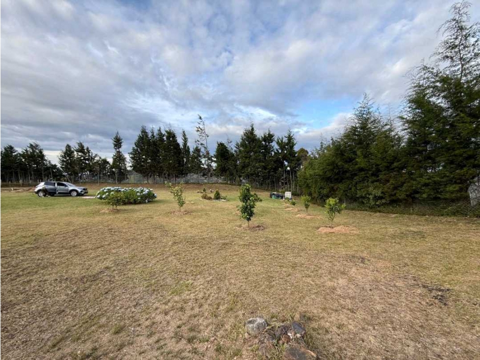 EXCELENTE LOTE EN VENTA GUARNE,ALTO DE LA VIRGEN,TOPOGRAFIA PLANA — foto 6