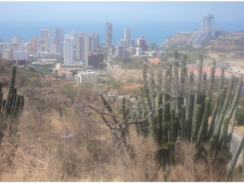 EXCELENTE LOTE RODADERO VIA A SANTA MARTA(ZIRUMA) — foto 3