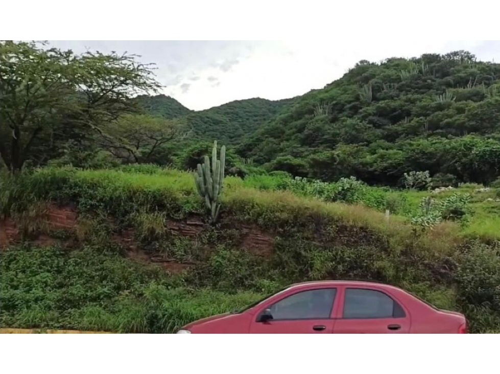 EXCELENTE LOTE RODADERO VIA A SANTA MARTA(ZIRUMA) — foto 4