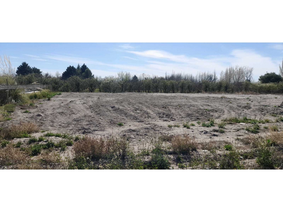 Excelente oportunidad terreno en venta en calle Combes La Consulta - 3