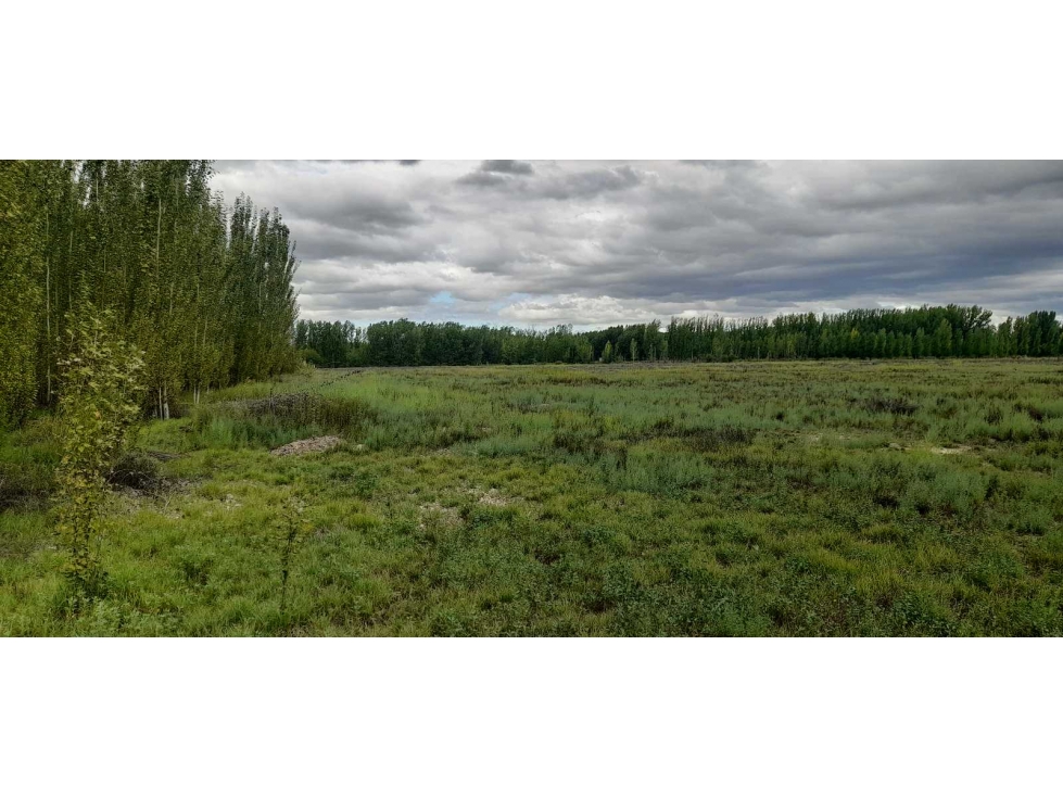 Exclusiva finca en venta |8 hectáreas |calle el Álamo Tupungato - 5