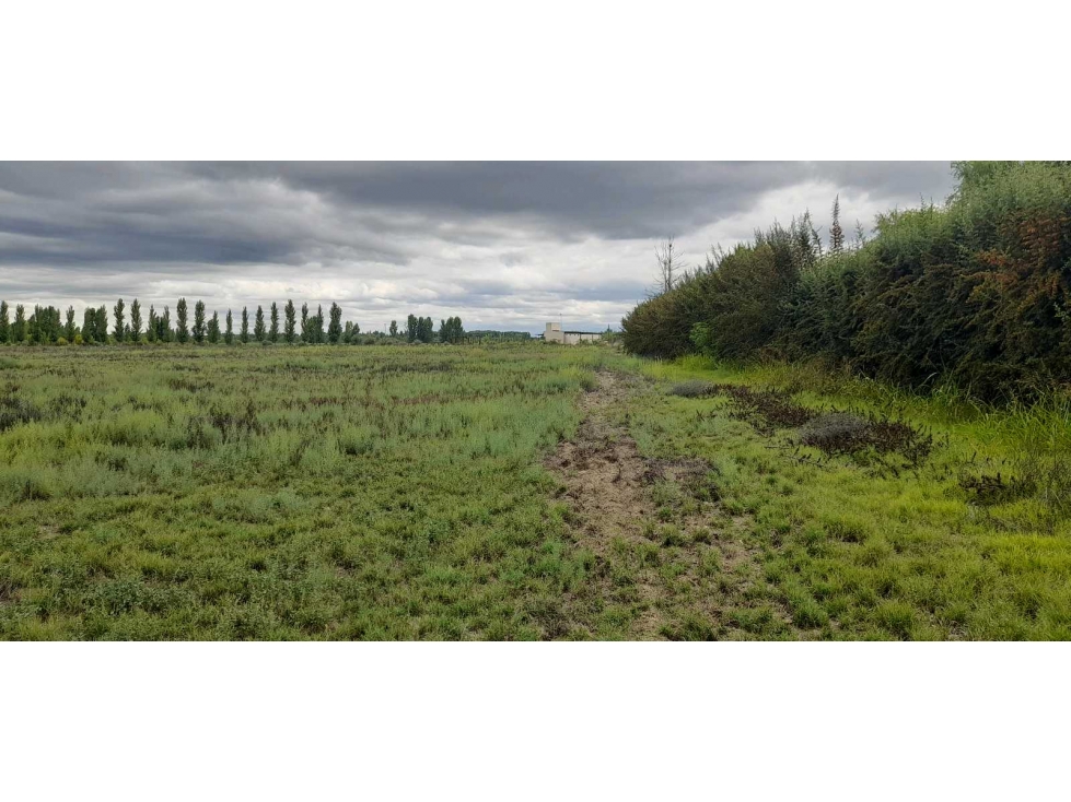Exclusiva finca en venta |8 hectáreas |calle el Álamo Tupungato - 2