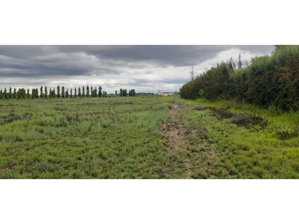 Exclusiva finca en venta |8 hectáreas |calle el Álamo Tupungato - 1