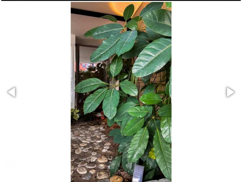 EXCLUSIVO APARTAMENTO EN SANTA MARÍA DE LOS ÁNGELES/POBLADO — foto 6