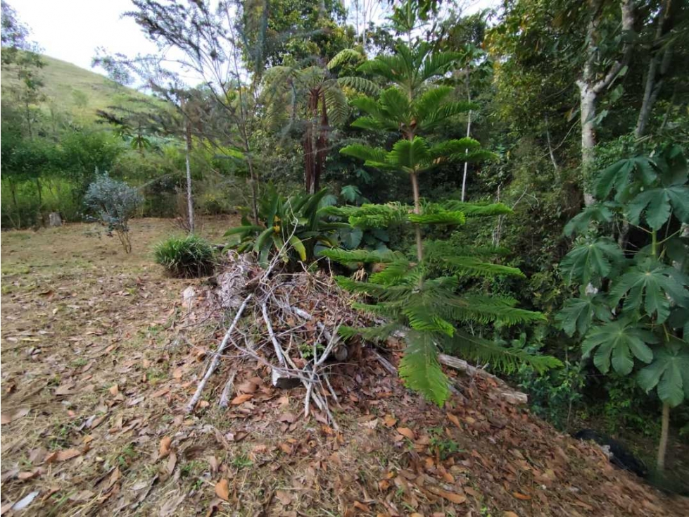 Exclusivo lote en la vereda El Tablazo de Rionegro — foto 5