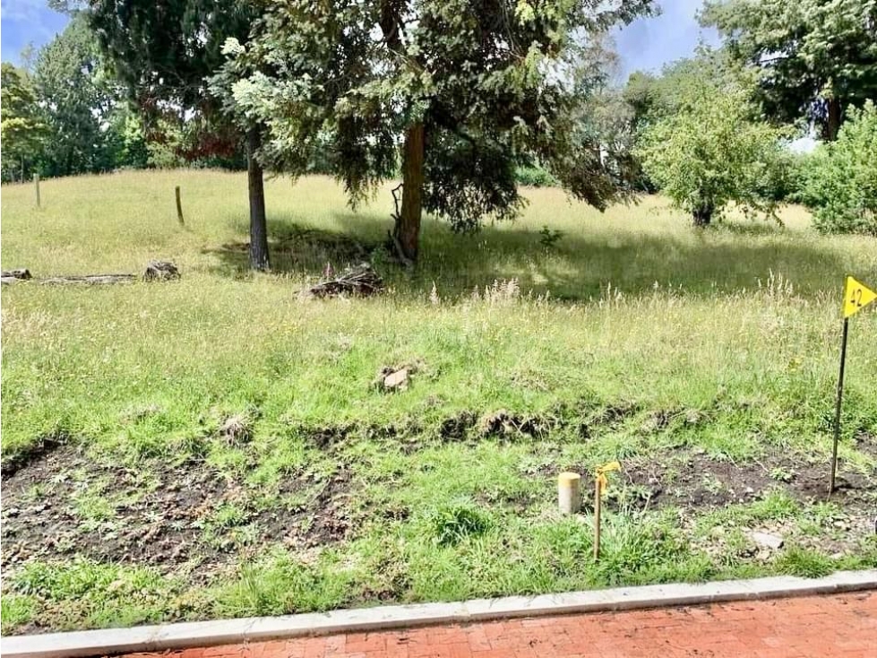 Exclusivo lote en Proyecto en Yerbabuena - 3