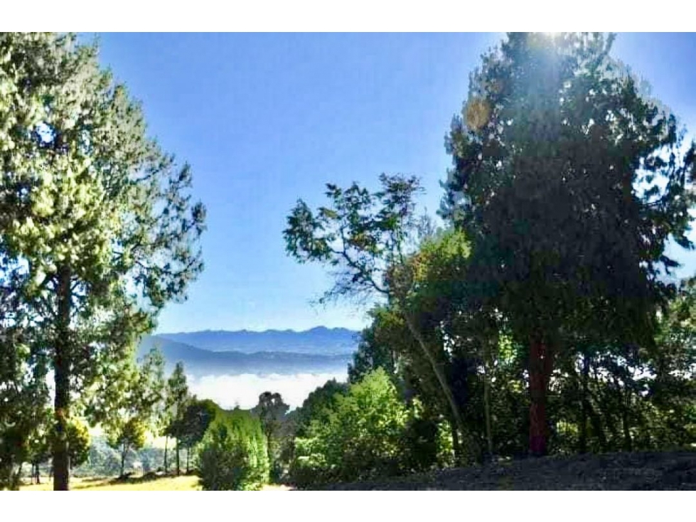 Exclusivo lote en Proyecto en Yerbabuena - 4