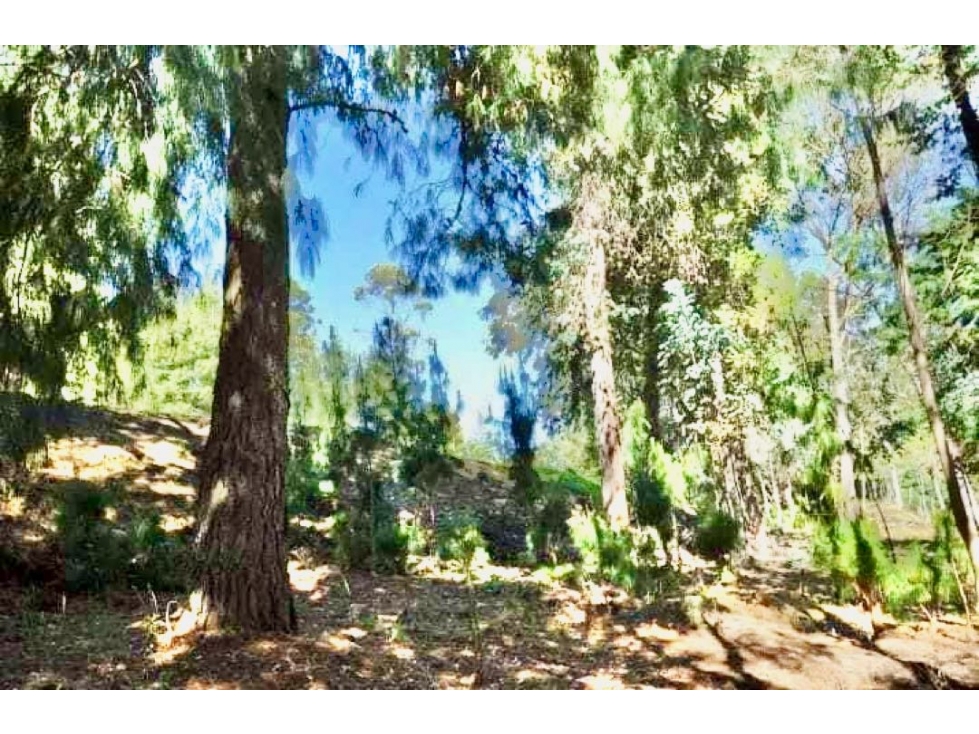 Exclusivo lote en Proyecto en Yerbabuena - 5