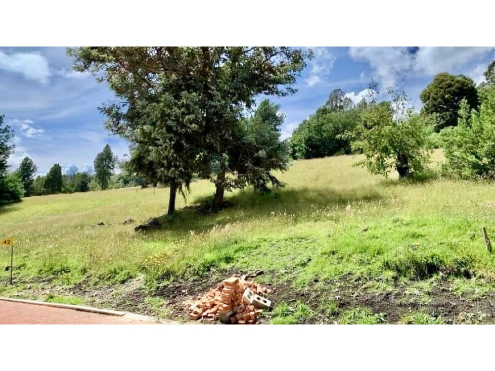 Exclusivo lote en Proyecto en Yerbabuena - 6