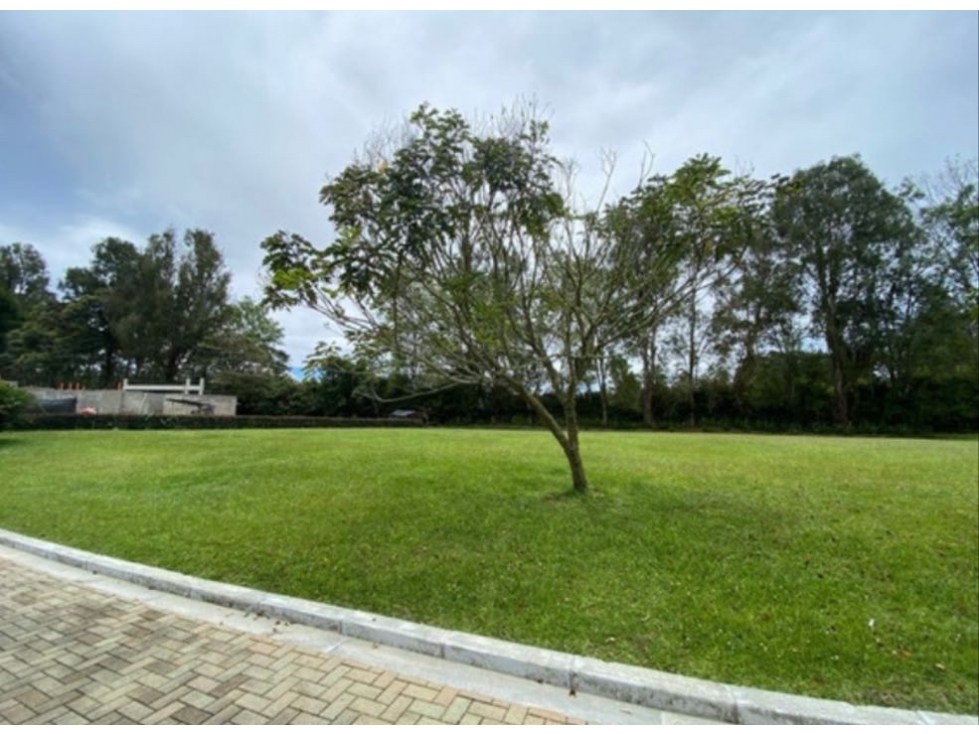 EXCLUSIVO LOTE EN VENTA CON EXCELENTE UBICACIÓN - LLANOGRANDE RIONEGRO — foto 4