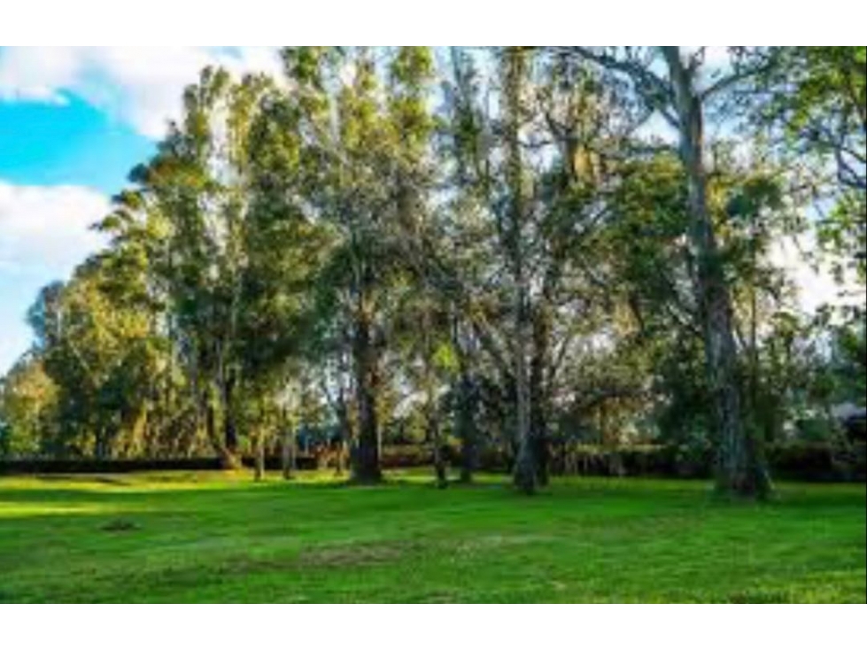 EXCLUSIVO LOTE EN VENTA CON EXCELENTE UBICACIÓN - LLANOGRANDE RIONEGRO — foto 6
