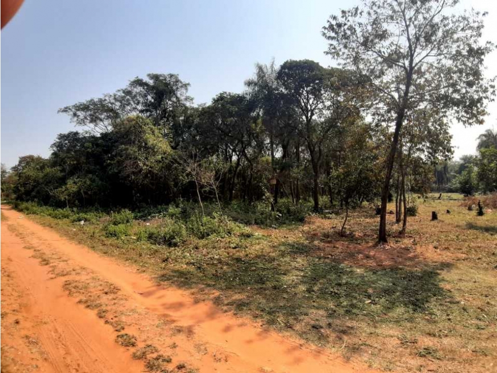 Exclusivos Terrenos en Altos - 1