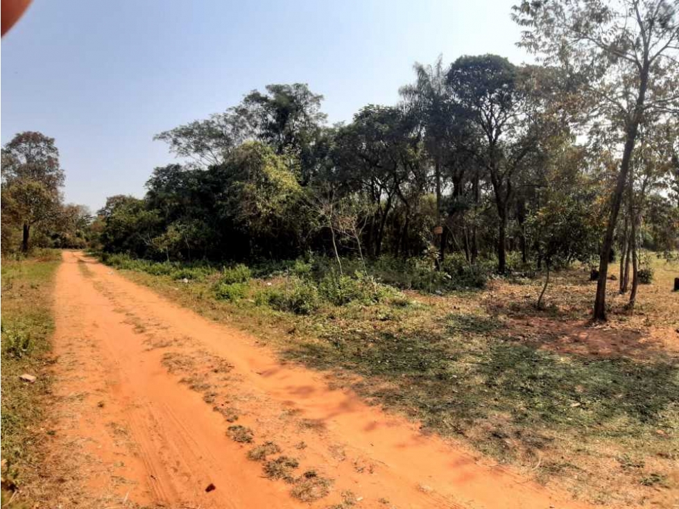 Exclusivos Terrenos en Altos - 2