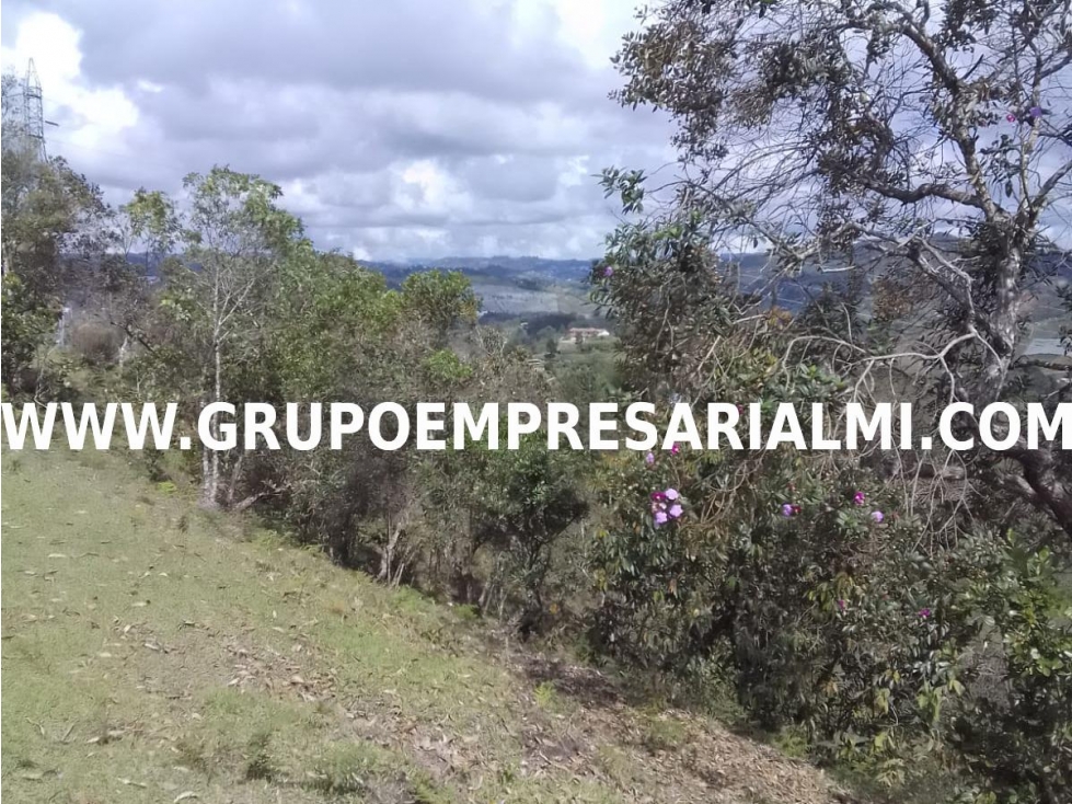 FABULOSO LOTE EN VENTA - SECTOR ALTO DEL MERCADO COD: 31193 — foto 3