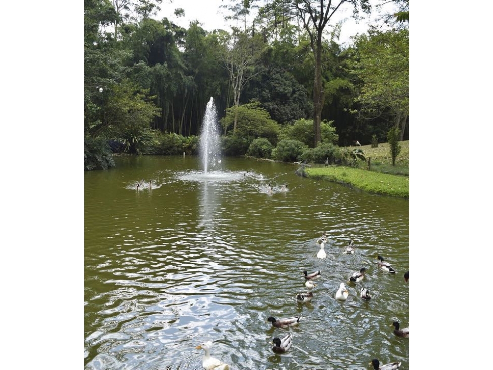 Venta o alquiler centro ecológico el Kaney a 20 km de Medellín Ant — foto 4