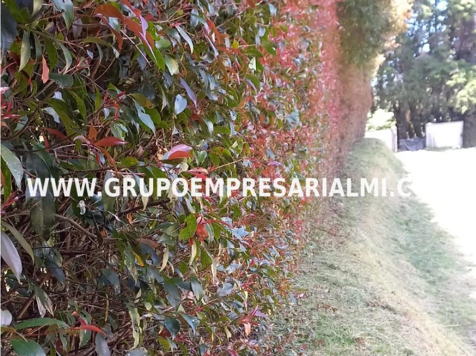 FANTÁSTICO LOTE EN VENTA - SECTOR ALTOS DE PALMAS COD: 31782 — foto 6