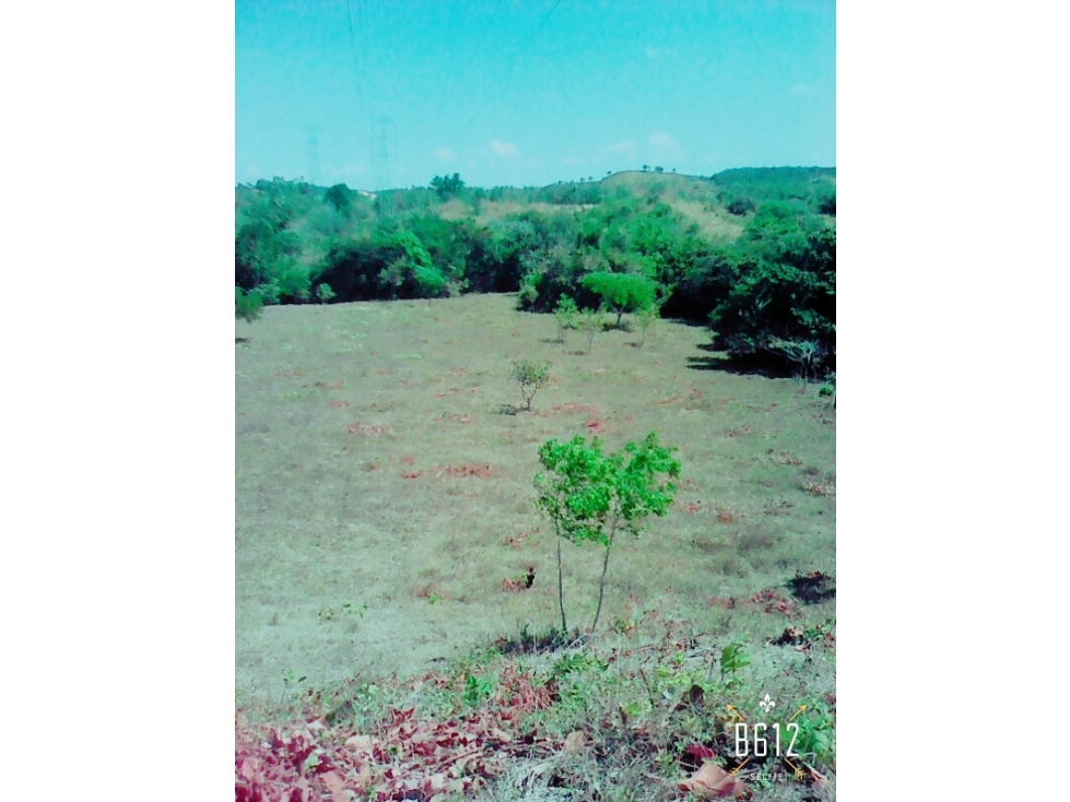 Farm in El Espino