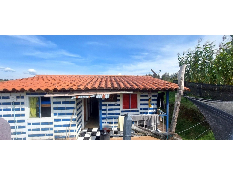 FCA EL COROZAL VDA GARRIDO — foto 6