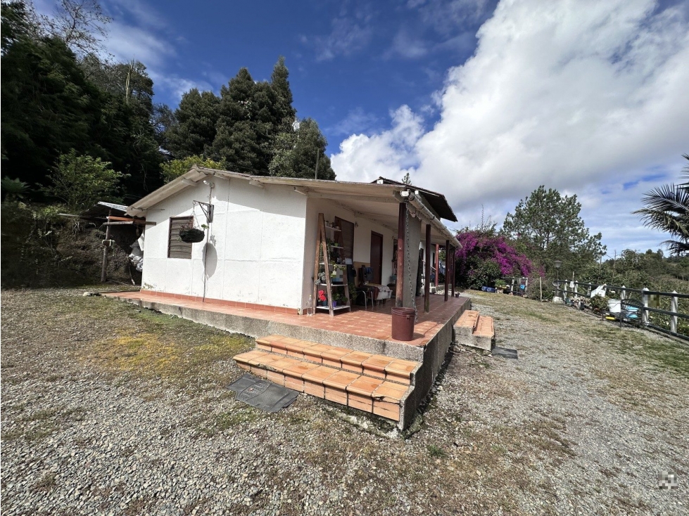 FI BATEA SECA — foto 2
