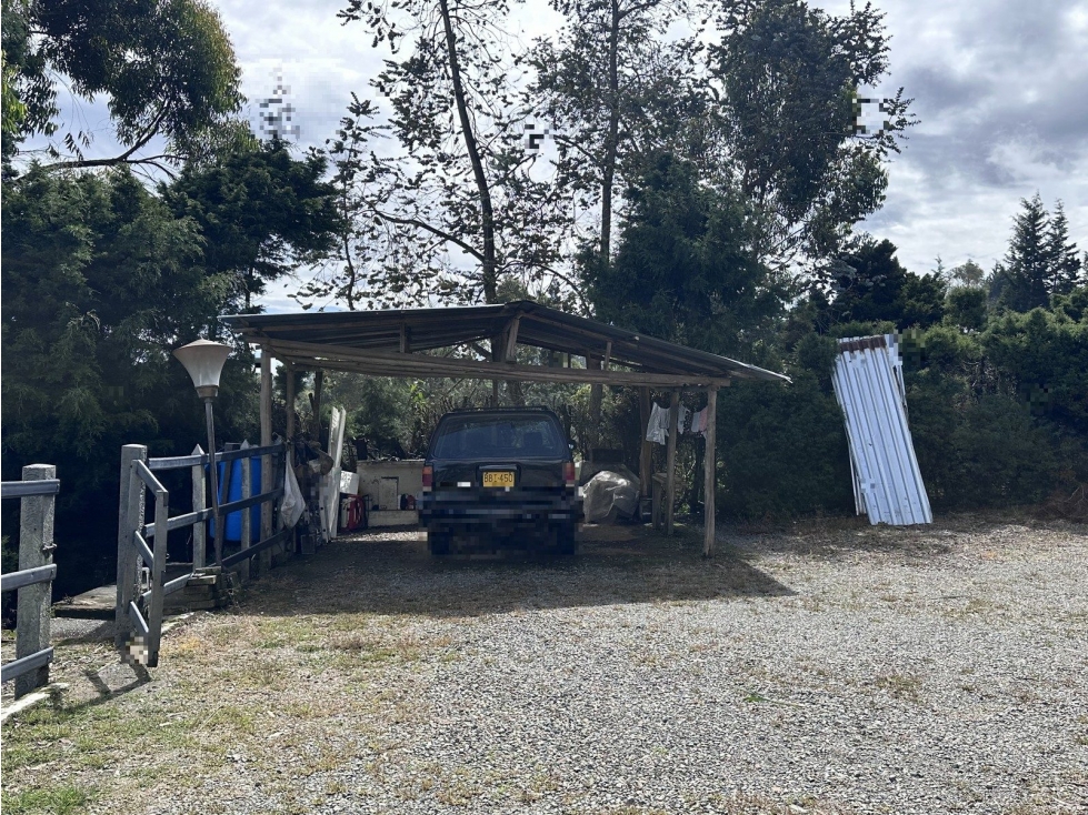 FI BATEA SECA — foto 3