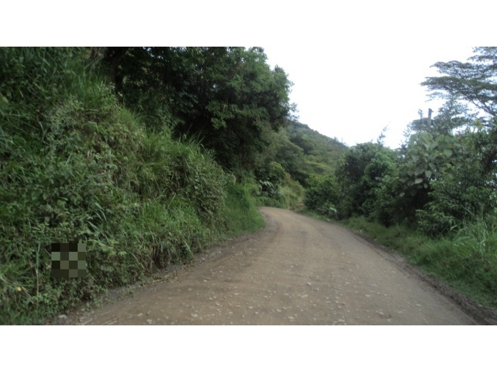 FI LAS COCHAS - 3