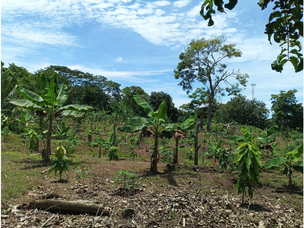 FI NUEVO PARAISO - 1