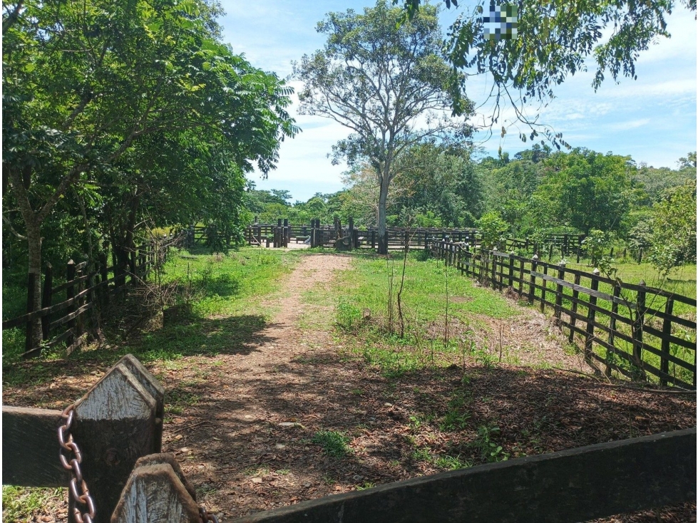 FI NUEVO PARAISO - 3