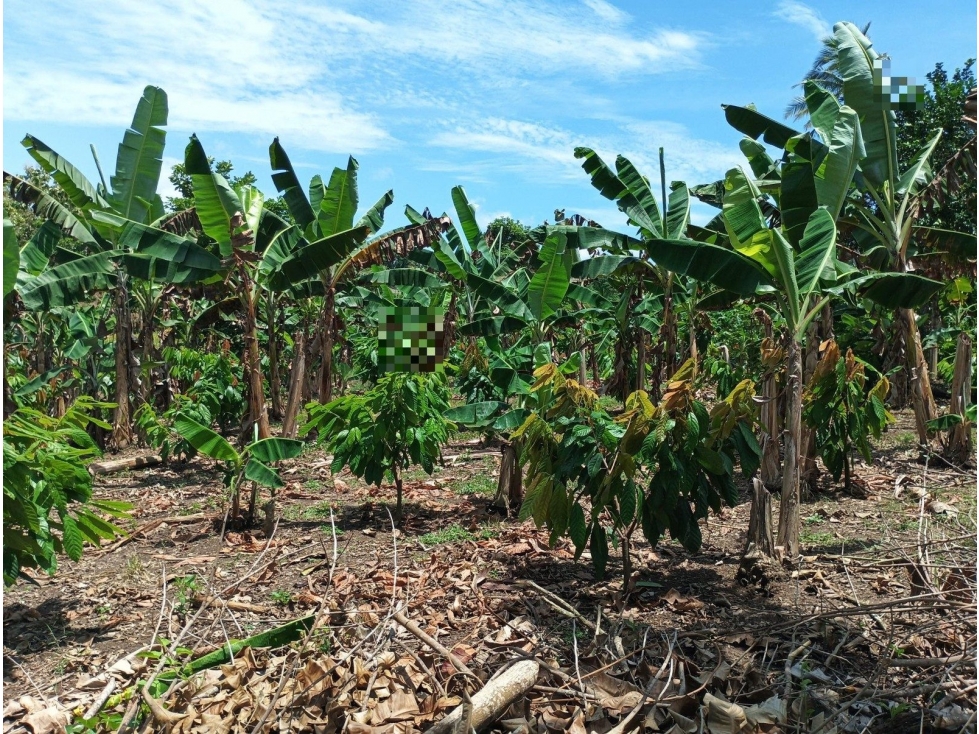 FI NUEVO PARAISO - 4