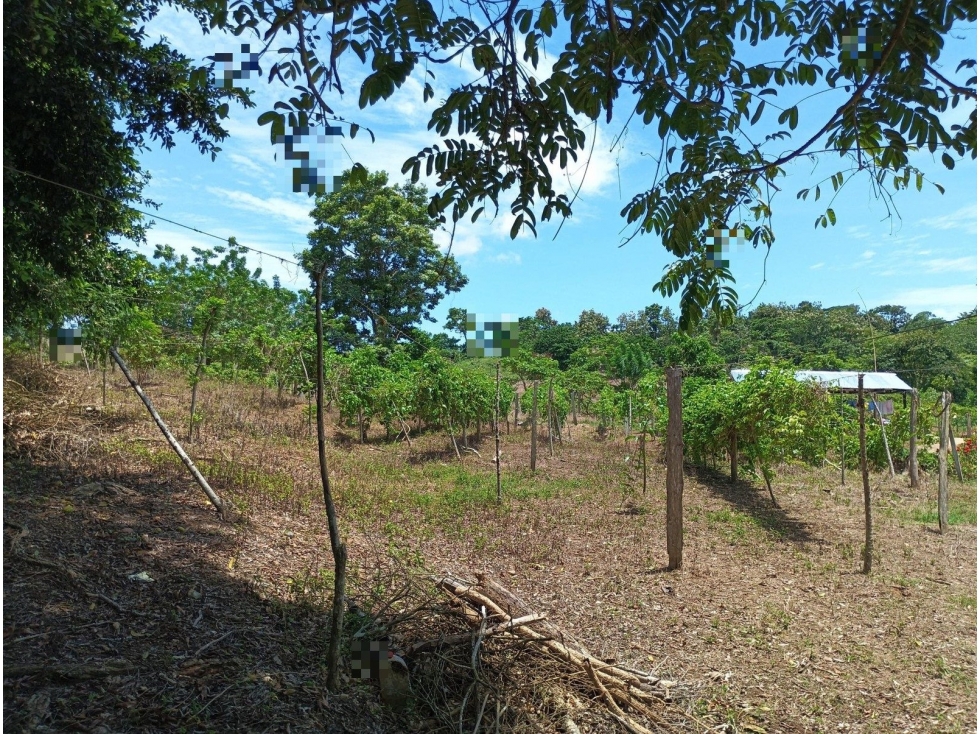 FI NUEVO PARAISO - 5