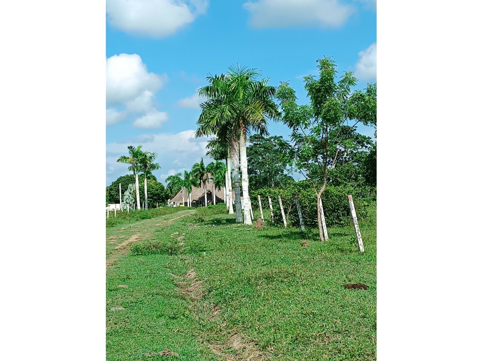 FI TAPIALANDIA - 3