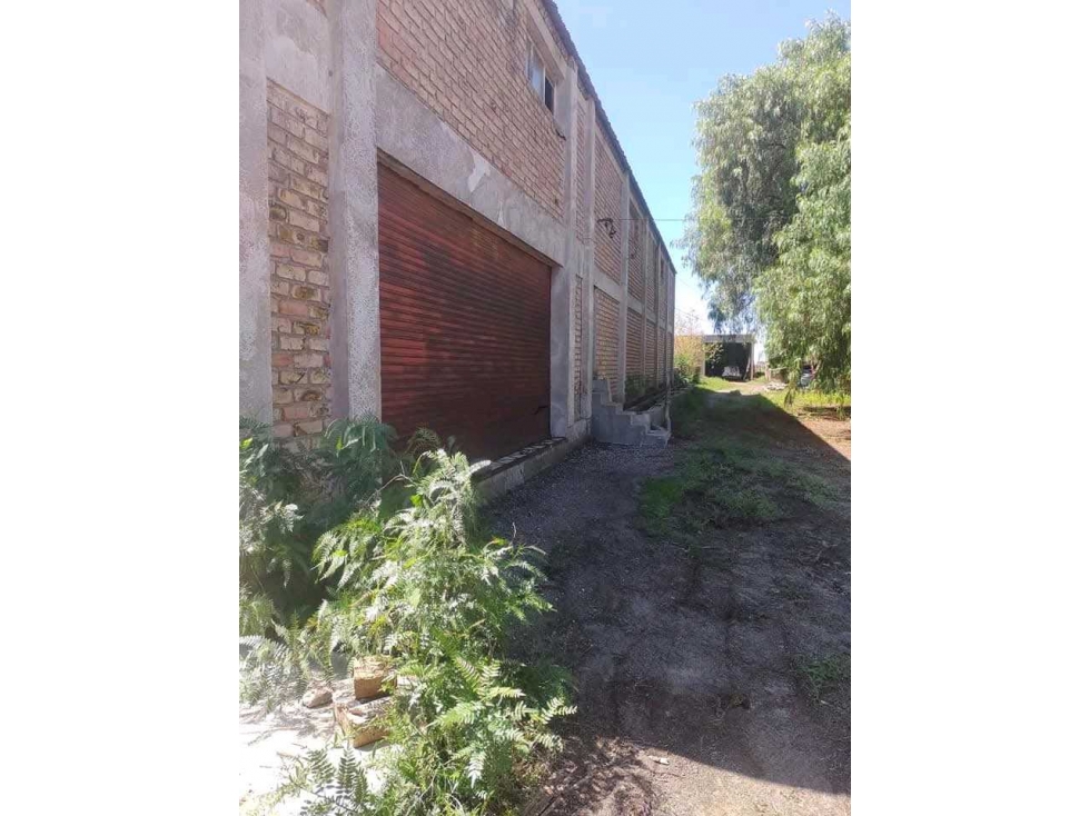 VENTA DE FINCA 34 HAS CON BODEGA- PHILLIPS , JUNIN, MZA - 3