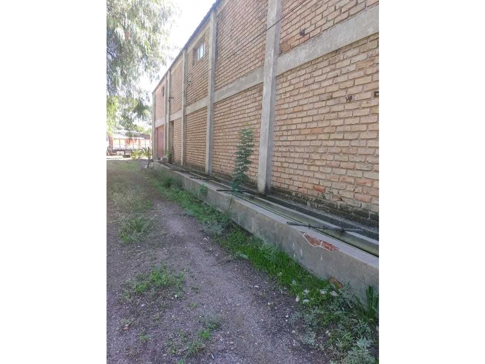 VENTA DE FINCA 34 HAS CON BODEGA- PHILLIPS , JUNIN, MZA - 4