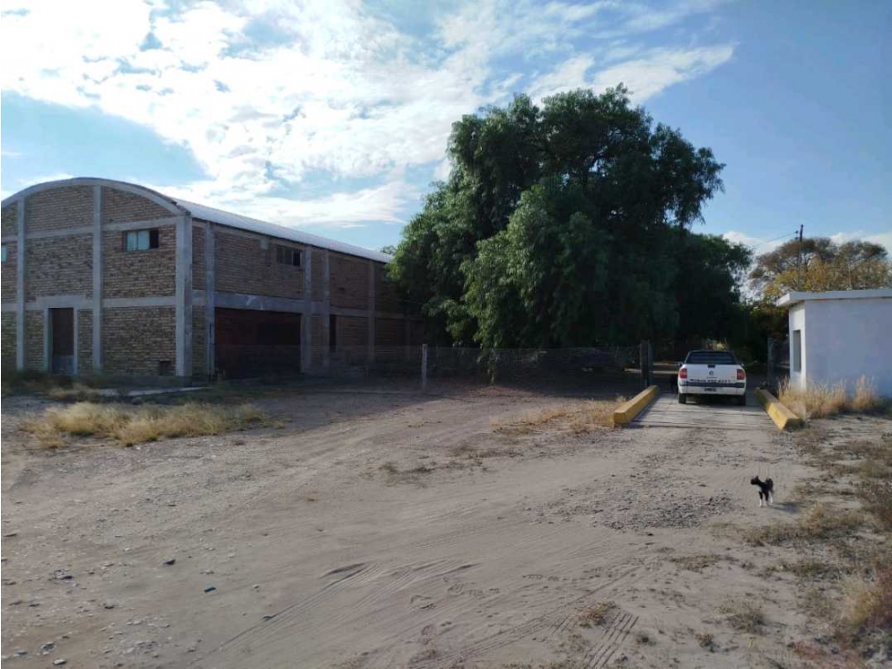 VENTA DE FINCA 34 HAS CON BODEGA- PHILLIPS , JUNIN, MZA - 2