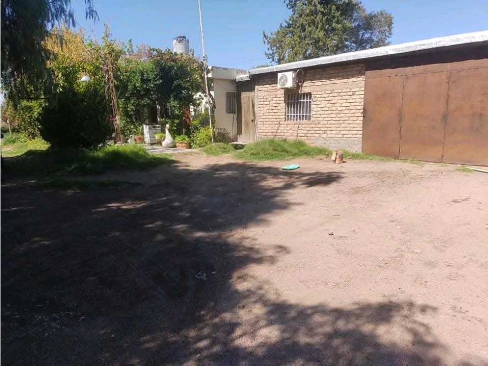VENTA DE FINCA 34 HAS CON BODEGA- PHILLIPS , JUNIN, MZA - 6