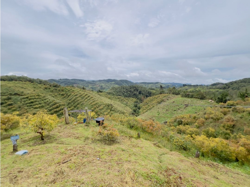 Finca 17 HAS En Granada Antioquia Vereda El Concilio $6.000M - 2