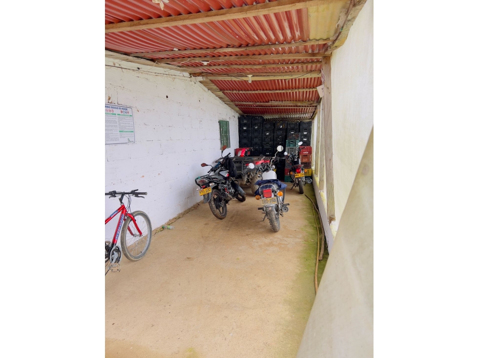 Finca 17 HAS En Granada Antioquia Vereda El Concilio $6.000M - 3