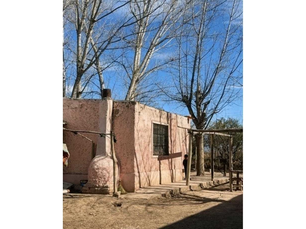 FINCA 30 HECTAREAS, SAN FRANCISCO, MENDOZA, ARGENTINA - 3