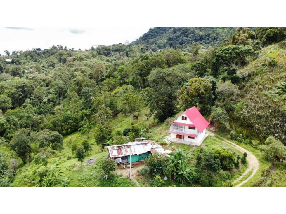 Finca 5 Fanegadas con Casa Nueva antes de La Mesa Cundi - 4