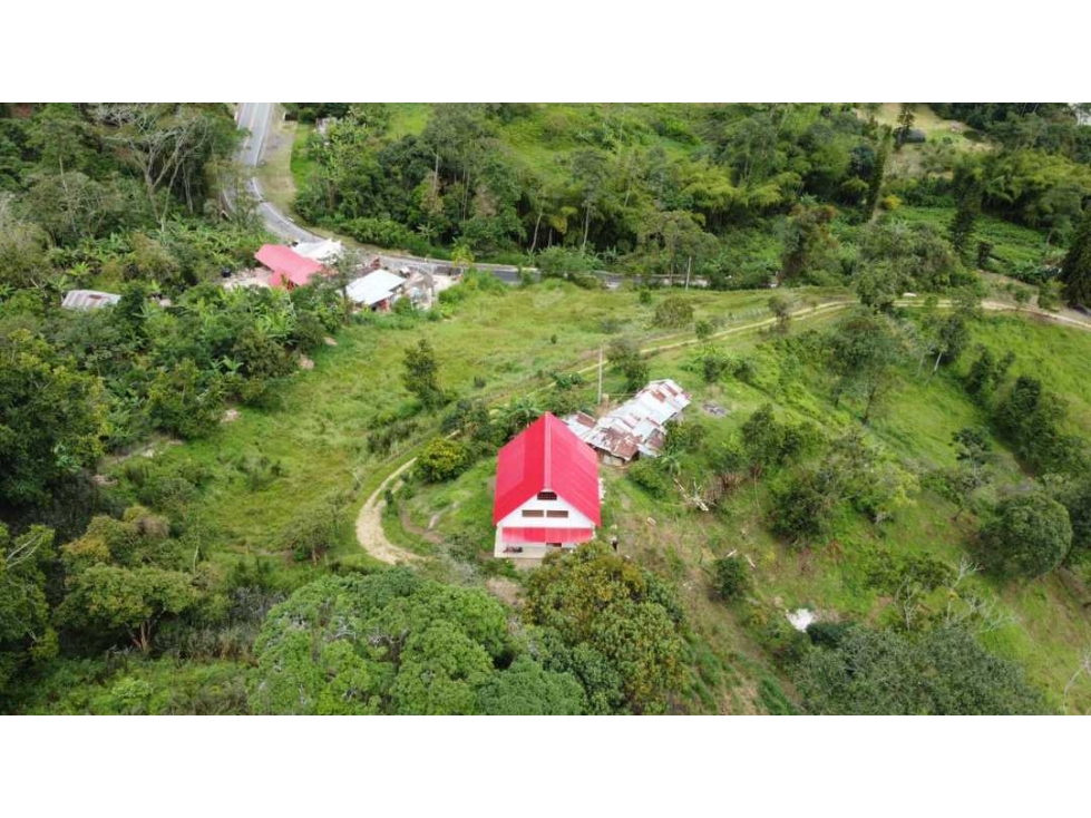 Finca 5 Fanegadas con Casa Nueva antes de La Mesa Cundi - 6