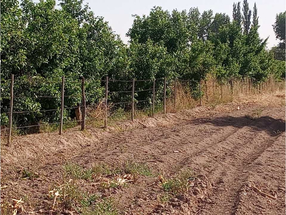 ¡OPORTUNIDAD ÃNICA! VENTA FINCA 5 HAS PHILLIPS, JUNÃN - 3