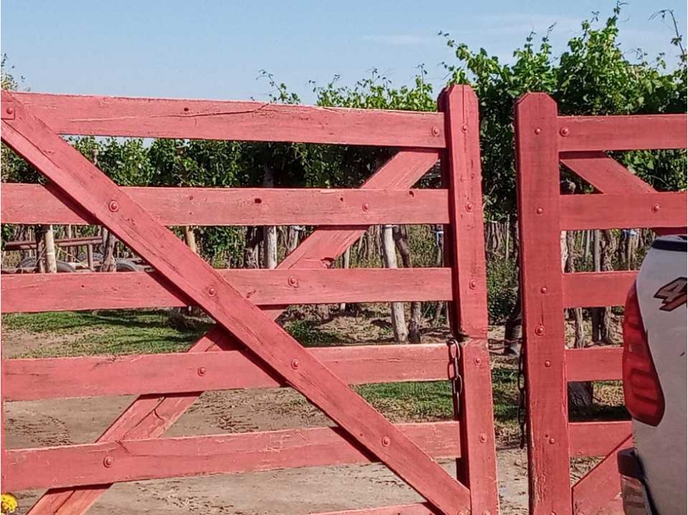 ¡OPORTUNIDAD ÃNICA! VENTA FINCA 5 HAS PHILLIPS, JUNÃN - 6