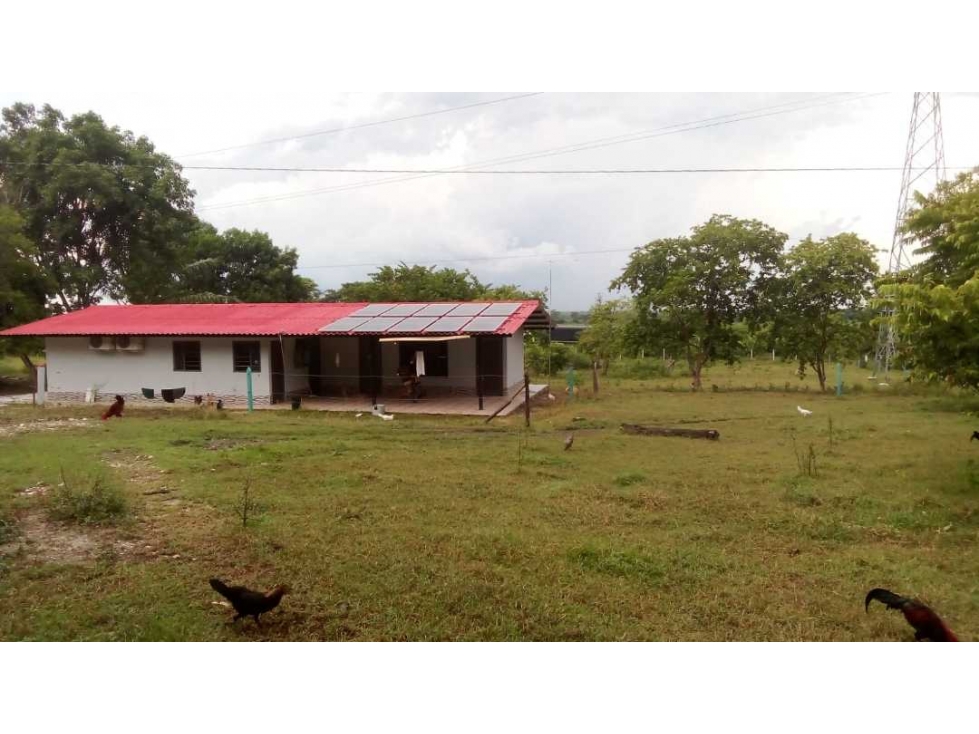 Finca a orilla de carretera de 137 hectáreas, organizada, la gran vía - 3
