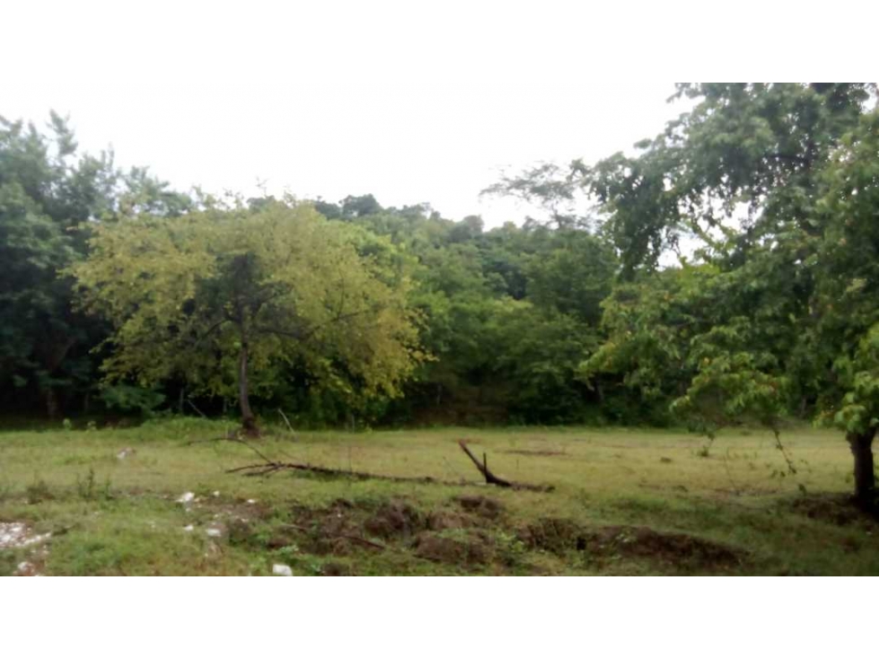 Finca a orilla de carretera de 137 hectáreas, organizada, la gran vía - 4
