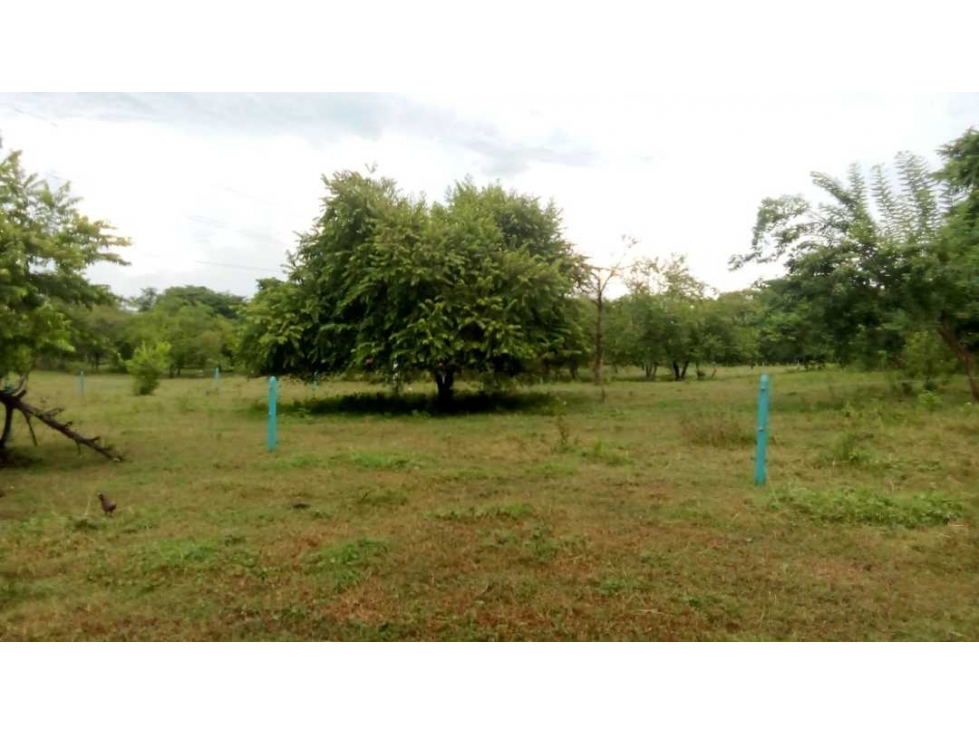 Finca a orilla de carretera de 137 hectáreas, organizada, la gran vía - 5