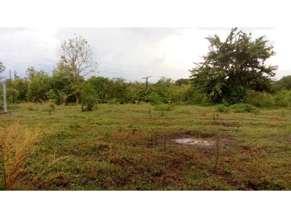 Finca a orilla de carretera de 137 hectáreas, organizada, la gran vía - 6